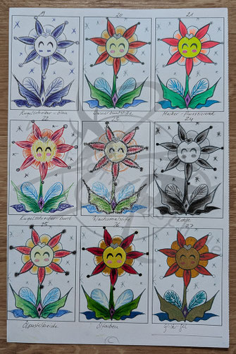 Feenblume in Variationen (C)