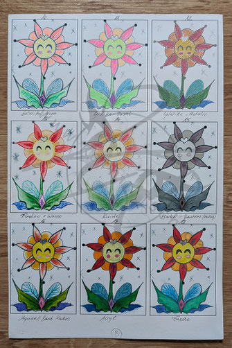 Feenblume in Variationen (B)