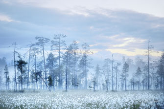 Finlande