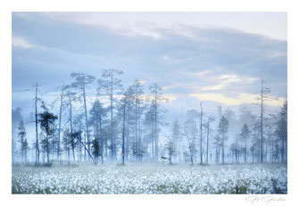 Finlande