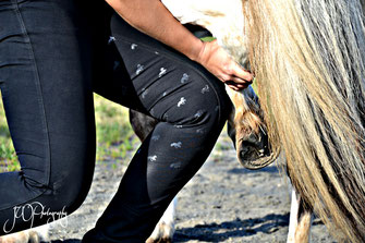 Passive Bewegungstherapie Pferd