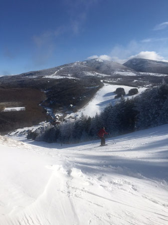 エイティエイトスキー＆スノーボードクラブ,エイティエイトスキー,東京都スキー連盟,sat,saj,88ski,88ssc,スキー,スノーボード,エイティエイト,