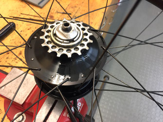 Rohloff Nabe undicht