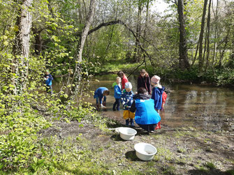 Kinder entdecken die Natur - Foto: Lena Heuß