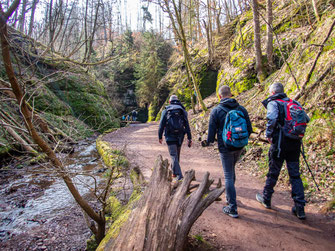 Schmaler Steg in der Drachenschlucht im Thüringer Wald zwischen steilen Felswänden