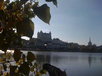 Domaine de Joreau, Saumur - Bed and Breakfast, Holiday rental - package proposals