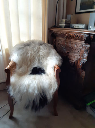 icelandic sheepskin. Natural home decor full view.