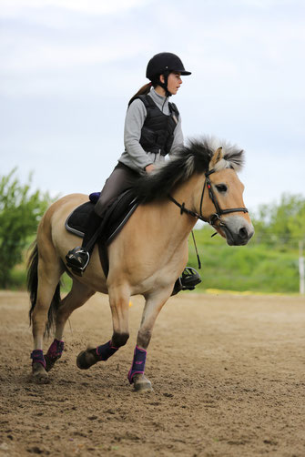 Lauriane et Vésuve à l'épreuve d'obstacle.