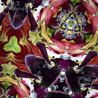 Limitiertes Fotokunst Kaleidoskop Wandbild, Motiv Jubellaune, von Flora Funkenflug mit bunten Blüten online kaufen