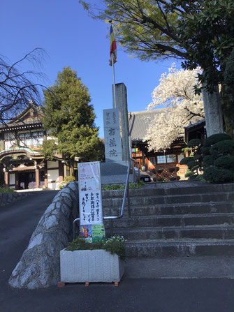 4 月 4 日の密蔵院本殿