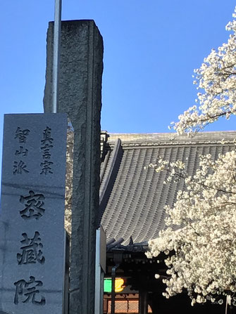 10 日間で結構咲いたのですね♪
