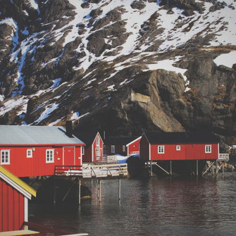 bigousteppes norvège fjords lofoten