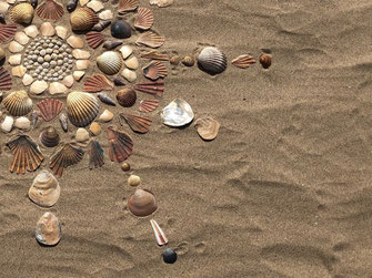 Sonnen-Mandala aus Muscheln am Strand