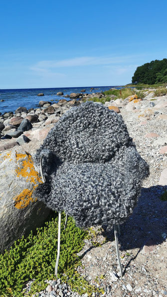 Gotland Lammfell am Wasser