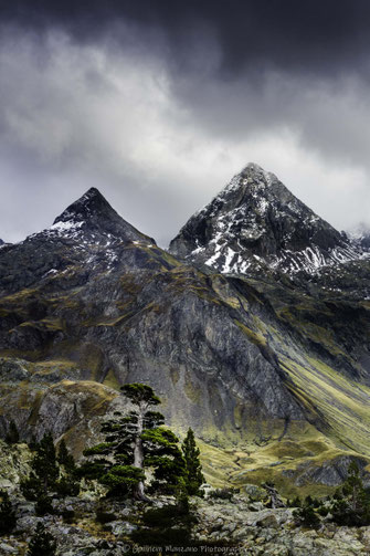 Photos des Pyrénées et d'ailleurs, paysages, animaux. Images of Pyrenees, landscape, animal