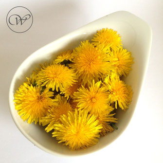 Dandelion - Löwenzahnblüten