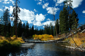 Wyoming, Yellowstone, USA