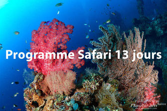 photo à Tulamben des récifs coraliens. Lien pour le programme safari de plongée à Bali en PDF