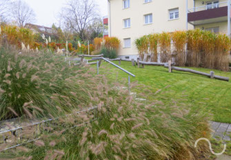 Gartengestaltung, Gewerbe, Garten, Grünanlage, Gartendesign