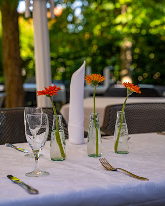Die Kelter in Notzingen - unser Gastgarten