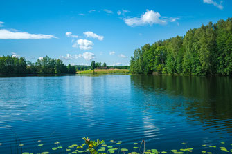 Unberührte Natur in Lettland mit zahlreichen Seen