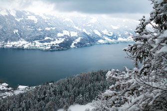 Brienzersee, Kanton Bern, Schweiz