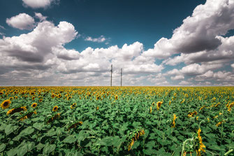 Fotos aus den verschiedensten Regionen Russlands