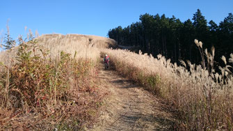 岩湧山をあとに