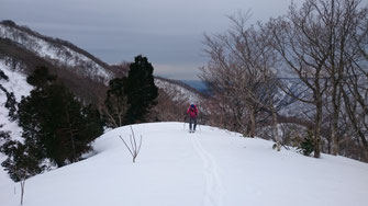 大朝頭近く