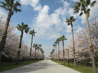 tyanmaruさん：東京都港区・潮風公園