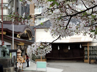 いーもんさん:東京浅草・浅草神社境内