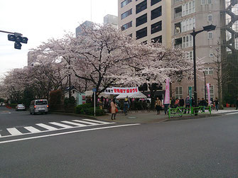 太郎さん：中央区・甘酒横町桜祭り(3/29)