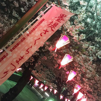 svanejyuさん：墨堤さくらまつり