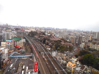 svanejyuさん：暴れん坊将軍