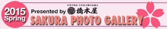 2015年度 桜フォトギャラリー