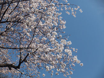 恵利子さん：街を歩いてて