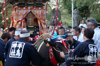 牛嶋神社大祭・鳳輦神幸祭を2日間追跡取材
