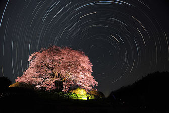 アホキン・コレステロールさん：悠久の美