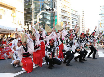 日比谷大江戸まつり 2019, お祭りパレード, 阿波踊り, 参加出演者, 東京高円寺阿波おどり 美踊連