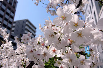 real Japan 'on!：東京・麻布十番