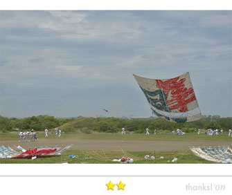 すばるαさん：相模の大凧