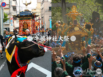 牛嶋神社大祭, 牛嶋神社御鎮座1165年大祭, 2023年9月15-16-17日