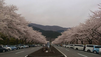 MASAMIさん：富士霊園