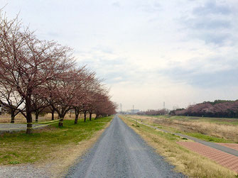 恵利子さん：埼玉県