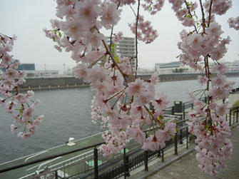 svanejyuさん：環七新神谷橋