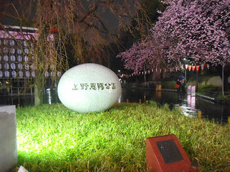 svanejyuさん：雨の上野恩賜公園