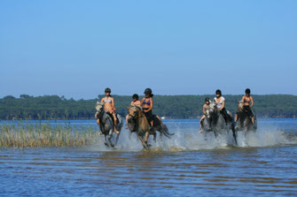 camping-prsè-centre-equestre-parentis