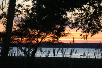 camping-devant-le-lac-de-sanguinet