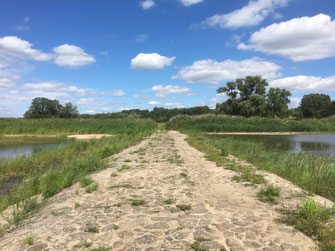 Oderbruch-Blog Wall zur Insel