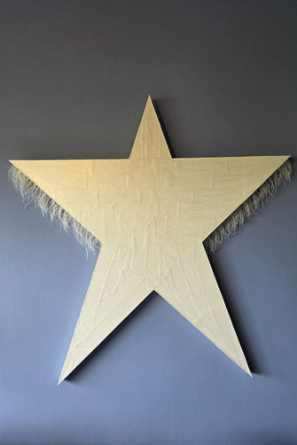 Der Star of liberation von Oliver Braig erinnert an Hollywood und den walk of fame. An Cowboys mit Fransenjacke und Glitzer und Glamour. Man bekommt den Eindruck, der Stern an der Wand wolle einen umarmen oder empfängt das Gegenüber mit offenen Armen. 